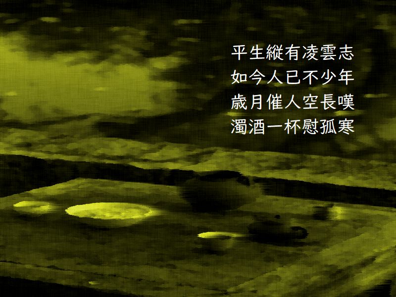 平生縦有凌雲志,如今人已不少年,歳月催人空長嘆,濁酒一杯慰孤寒