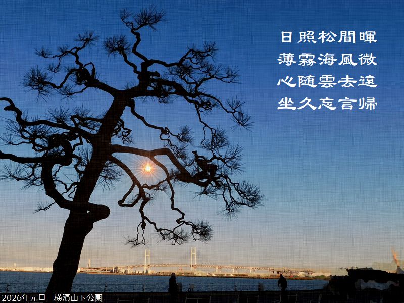 日照松間暉,薄霧海風微,心随雲去遠,坐久忘言帰