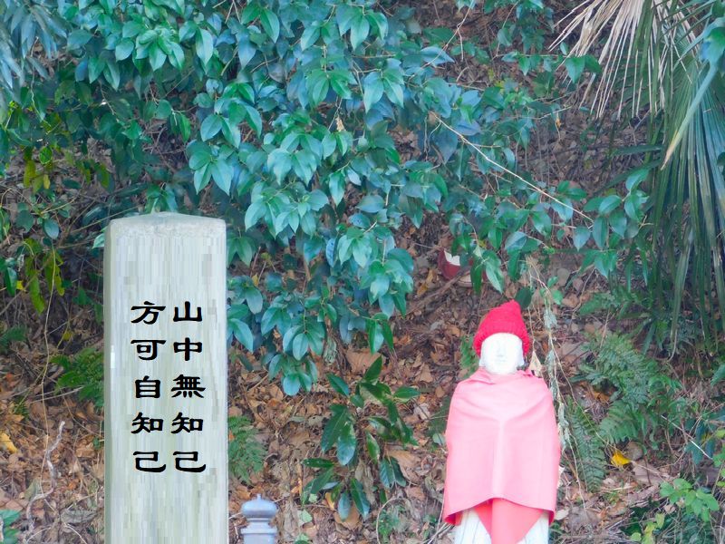 山中無知己,方可自知己