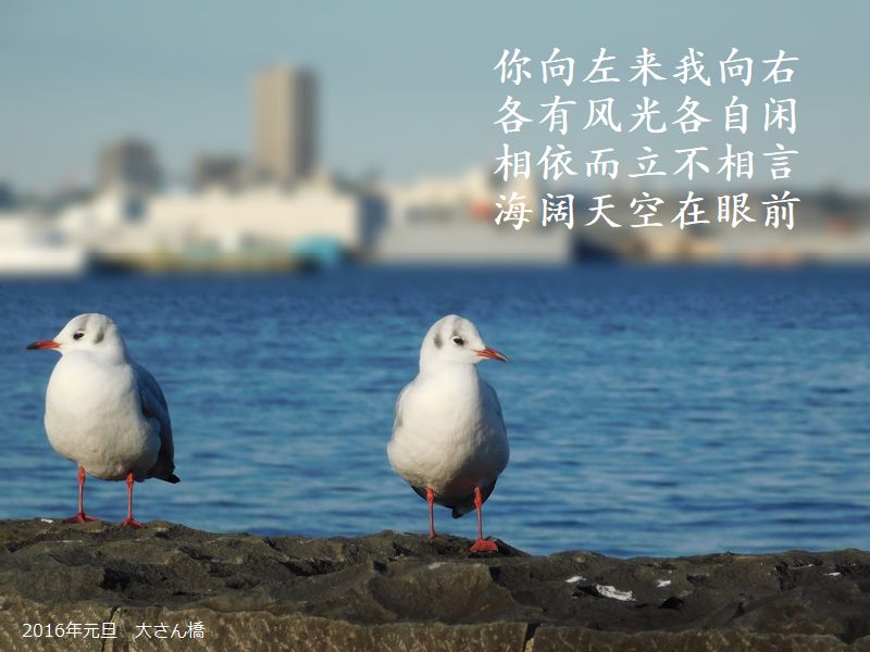 你向左来我向右,各有风光各自闲,相依而立不相言,海阔天空在眼前