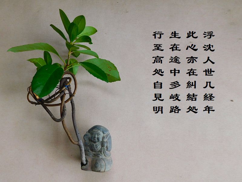 浮沈人世几経年,此心亦在糾結処,生在途中多岐路,行至高処自見明