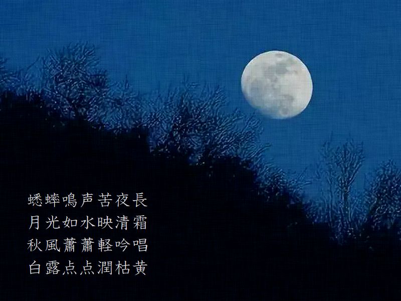 蟋蟀鳴声苦夜長，月光如水映清霜，秋風蕭蕭軽吟唱，白露点点潤枯黄